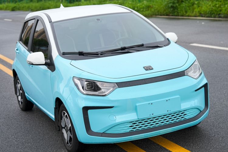 Used SOL E10X 2022 Flower Fairy Style Baby's Breath