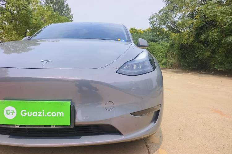 Used Tesla Model Y 2021 Standard Range Rear-Wheel Drive Version
