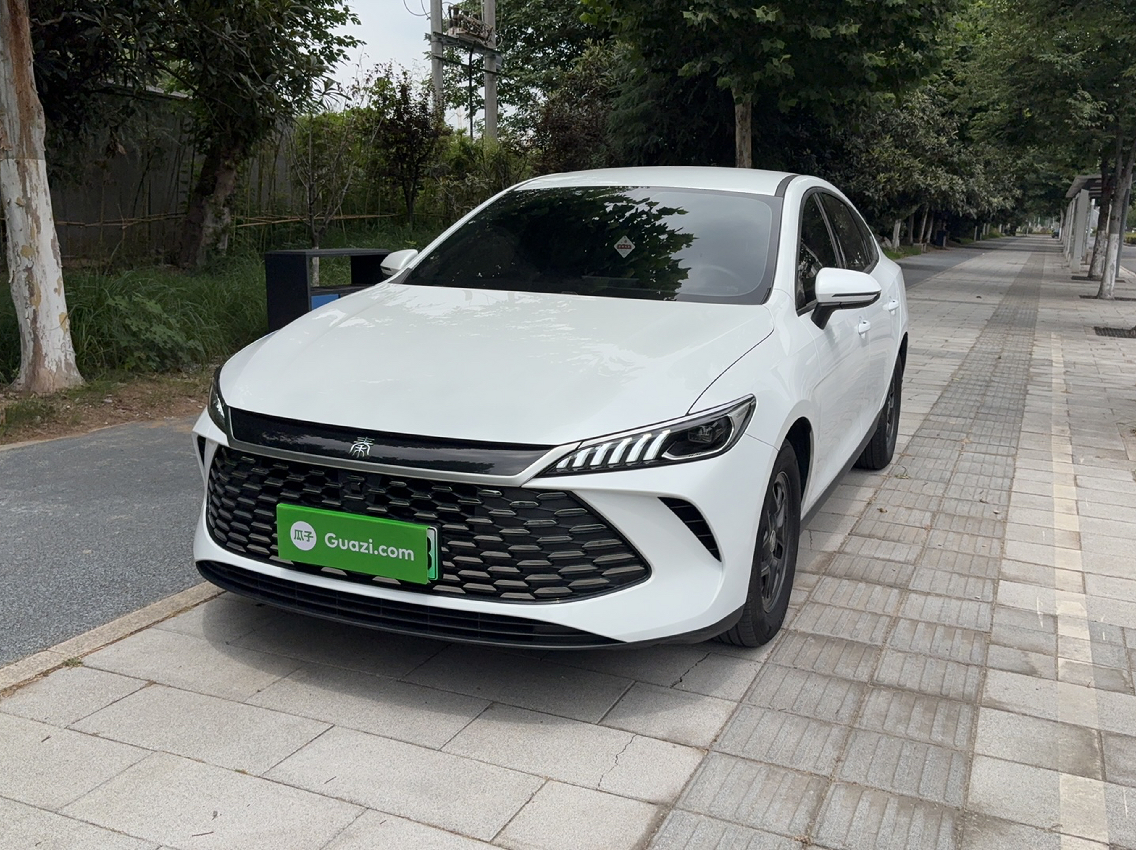 Under Front Bumper