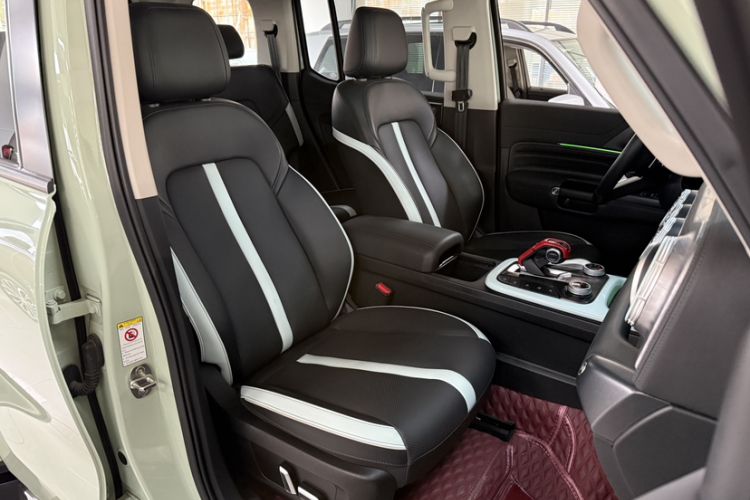 Used Tank 300 2021 City Edition 2.0T—Truly Stylish