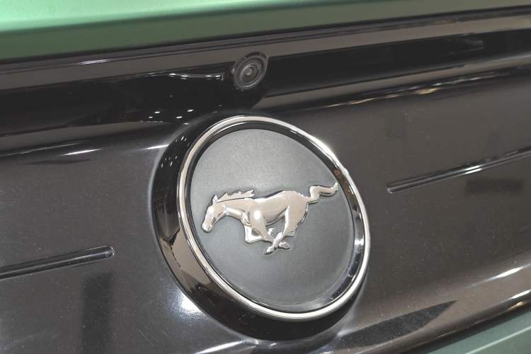 Used Ford Mustang 2021 2.3T EcoBoost Exterior 11