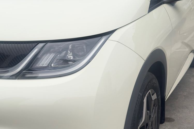 Used BYD Dolphin 2021 405 km Free Version