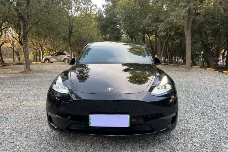 Used Tesla Model Y 2021 Standard Range Rear-Wheel Drive Version
