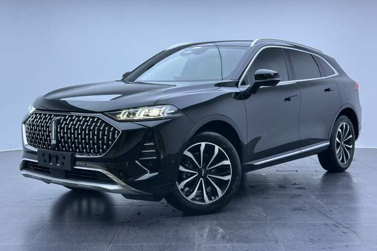 Used Wey Mocha 2021 2.0T Two-Wheel-Drive Premium Edition