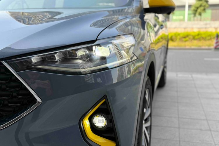 Used Haval F7x 2019 2.0T Four-Wheel Drive Performance Edition