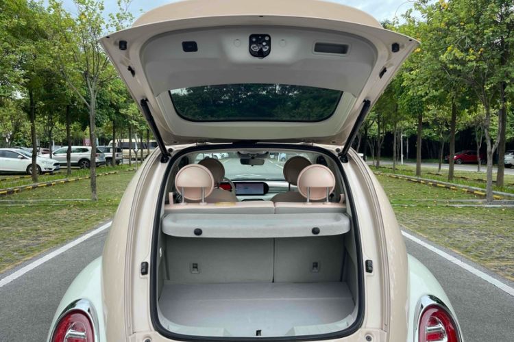 Used ORA Ballet Cat 2022 401 km Nutcracker Edition
