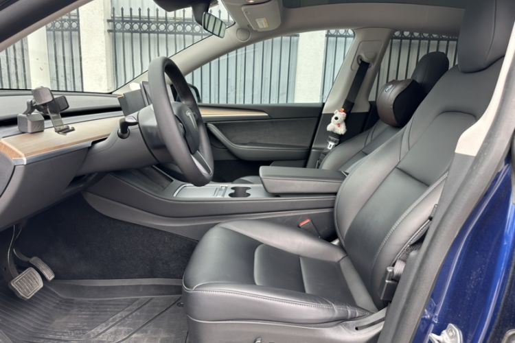 Used Tesla Model Y 2021 Standard Range Rear-Wheel Drive Version
