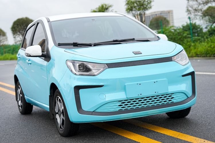 Used SOL E10X 2022 Flower Fairy Style Baby's Breath