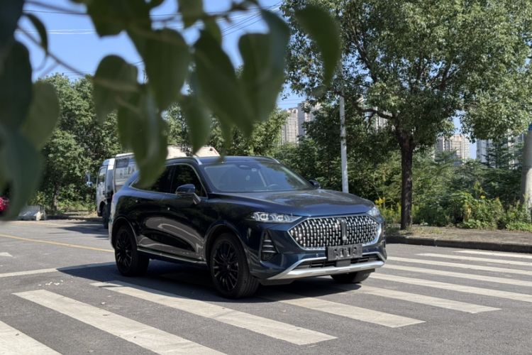 Used Wey Mocha New Energy 2022 1.5T Zero-Anxiety Performance Edition