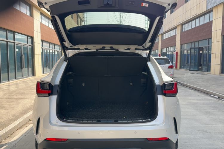 Used Lexus NX 2023 260 Front-Wheel Drive ChuanYou Special Edition