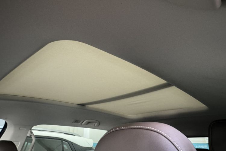 Used Volkswagen Viloran 2024 330TSI Business Edition Headliner