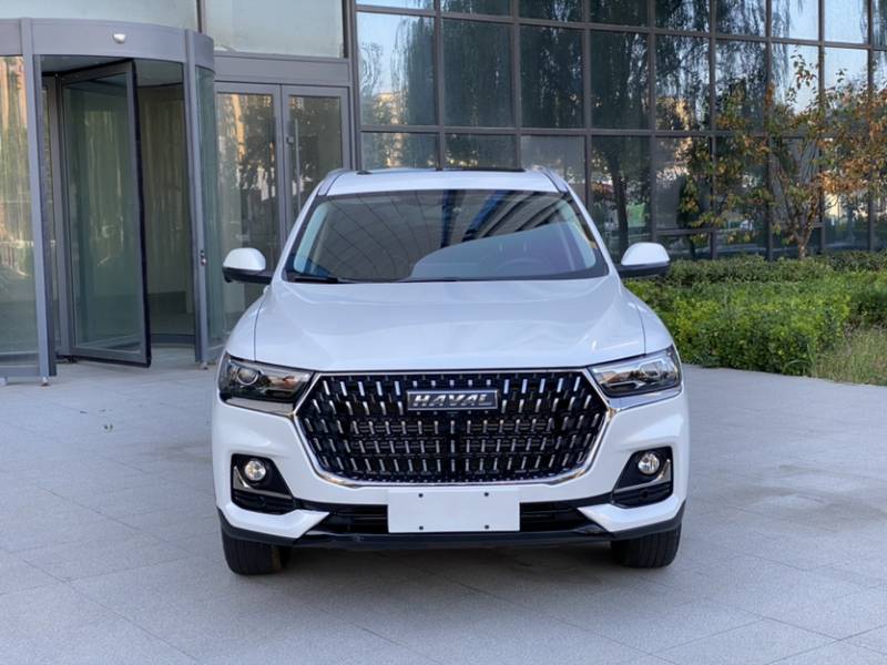 Used Haval H6 2023 National Trend Edition 1.5T Automatic Urban Version — 31