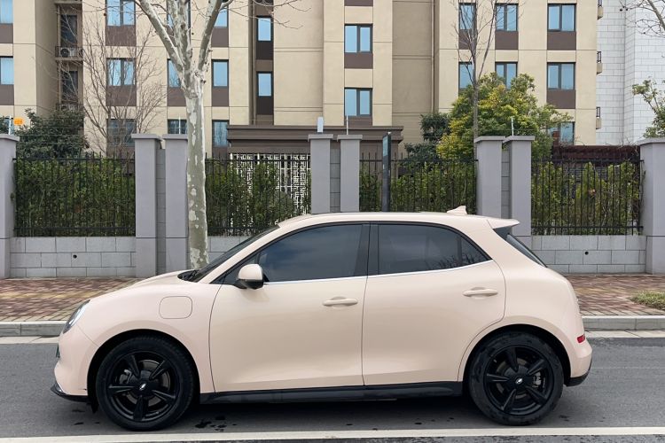 Used ORA Good Cat 2024 401 km Luxury Version