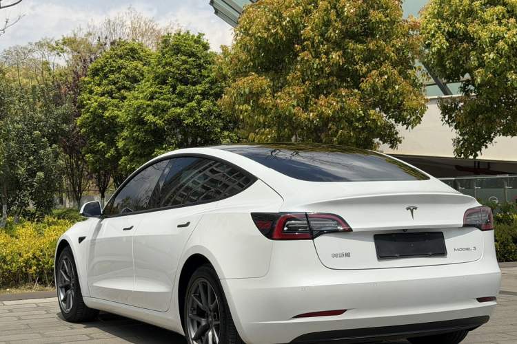 Used Tesla Model 3 2021 Standard Range Rear-Wheel Drive Upgraded Version 3D6
