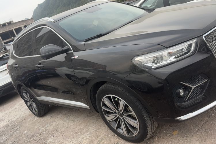 Used Haval H6 2021 1.5T Automatic Champion Edition