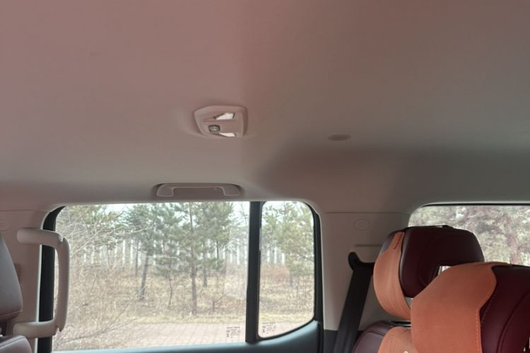 Used Tank 300 2024 2.0T Crosser Interior 6