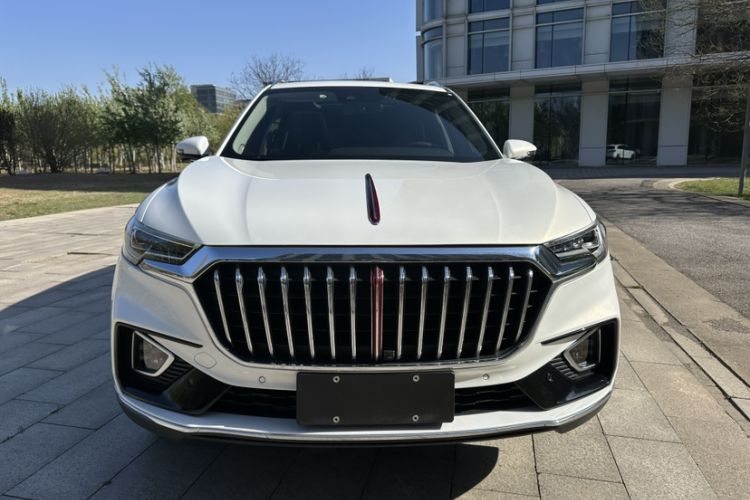 Used Hongqi HS5 2019 2.0T Smart Connect Flagship All-Wheel-Drive Version Exterior 1