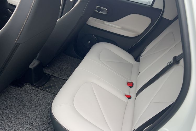 Used Cowin October 2026 Model Mate 305km Guoxuan Wind-Chasing Edition
