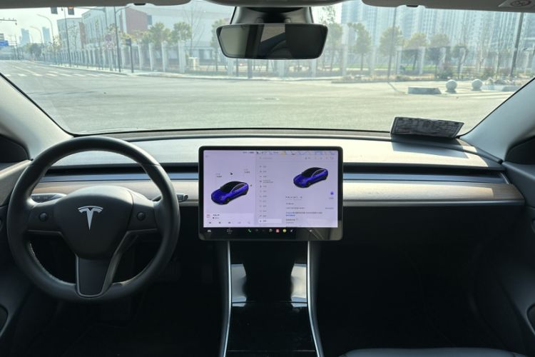 Used Tesla Model 3 (Import) 2019 Long-Range Rear-Wheel-Drive Version
