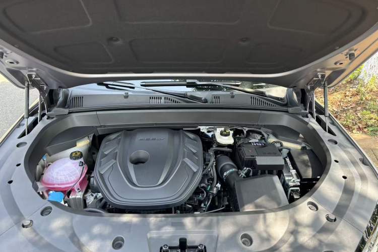 Used Geely Auto Monjaro L 2024 2.0TD DCT EVO Two-Wheel Drive Long-Range Version
