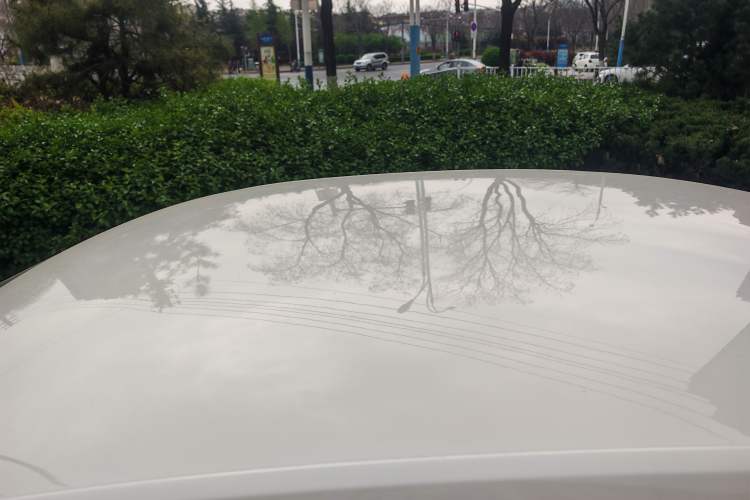 Used Volkswagen Santana 2019 1.5L Manual Fashion Edition China VI Standard Roof