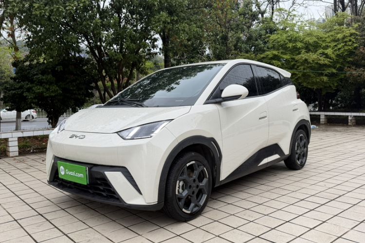 Used BYD Seagull 2025 305 km Free Version