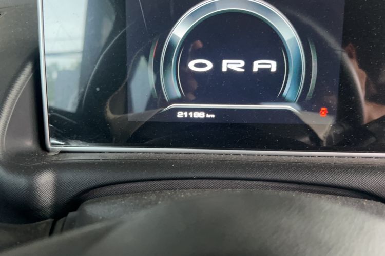 Used ORA White Cat 2020 305 km Luxury Version
