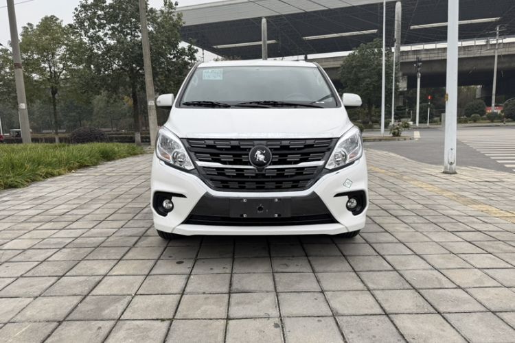 Used FORTHING Lingzhi PLUS 2023 2.0L Manual Luxury CNG 7-Seater
