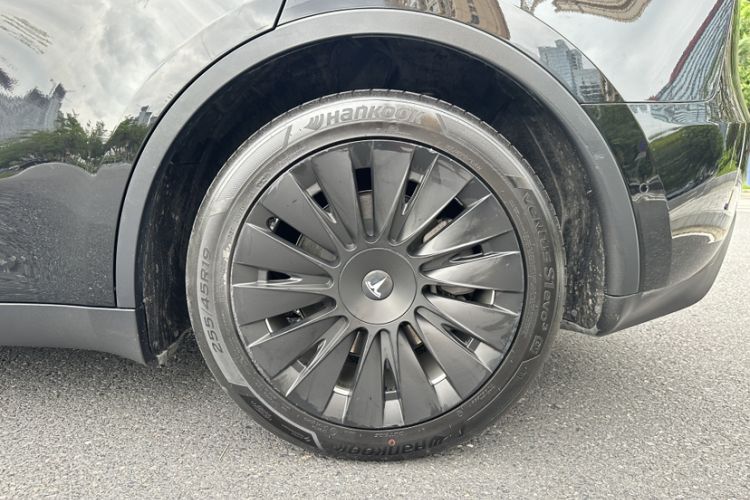 Used Tesla Model Y 2021 Standard Range Rear-Wheel Drive Version Exterior 6