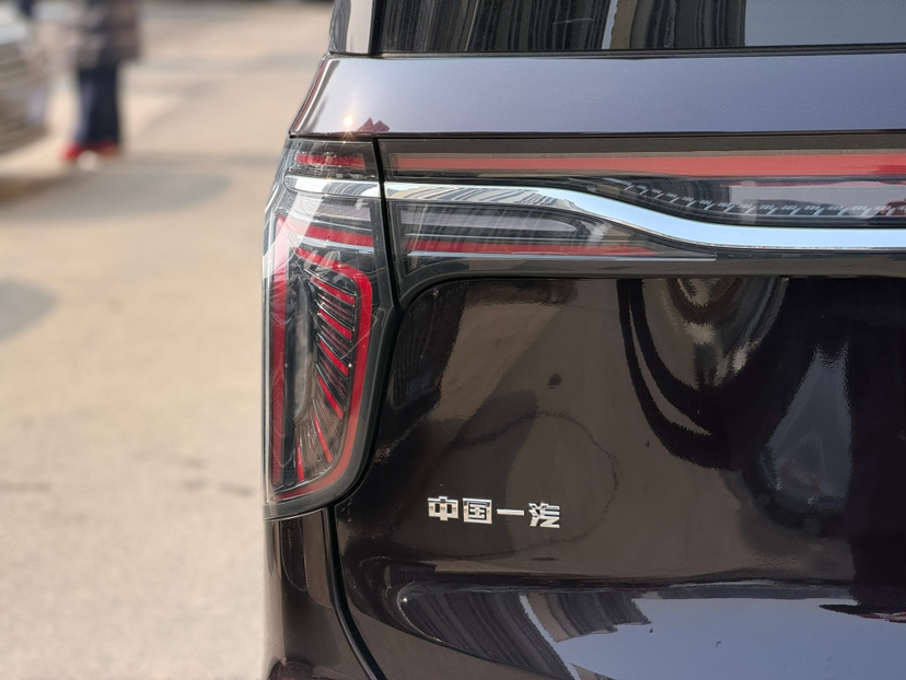 Hongqi HQ9 PHEV 2024 2.0T Four-Wheel Drive Business Edition — снимка 8