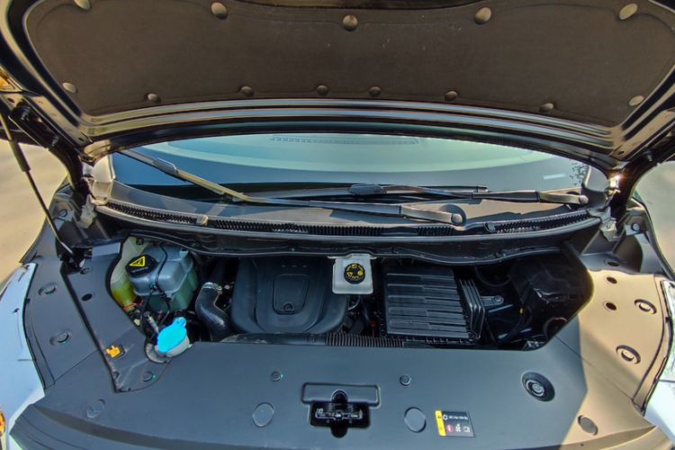 Used Wey Gaoshan 2023 Four-Wheel-Drive Executive Extended Version
