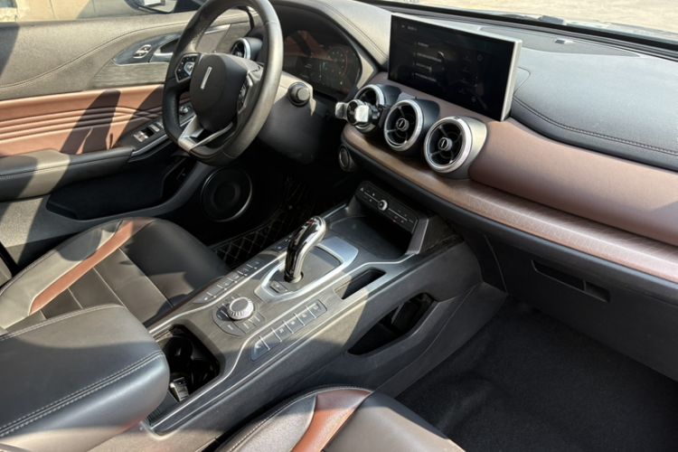 Used Wey VV5 2020 1.5T Two-Wheel Drive Smart Pioneer