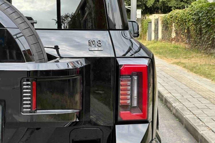 Used Formula Leopard Leopard 8 2025 Smart & Brave Flagship Edition 7 Seats