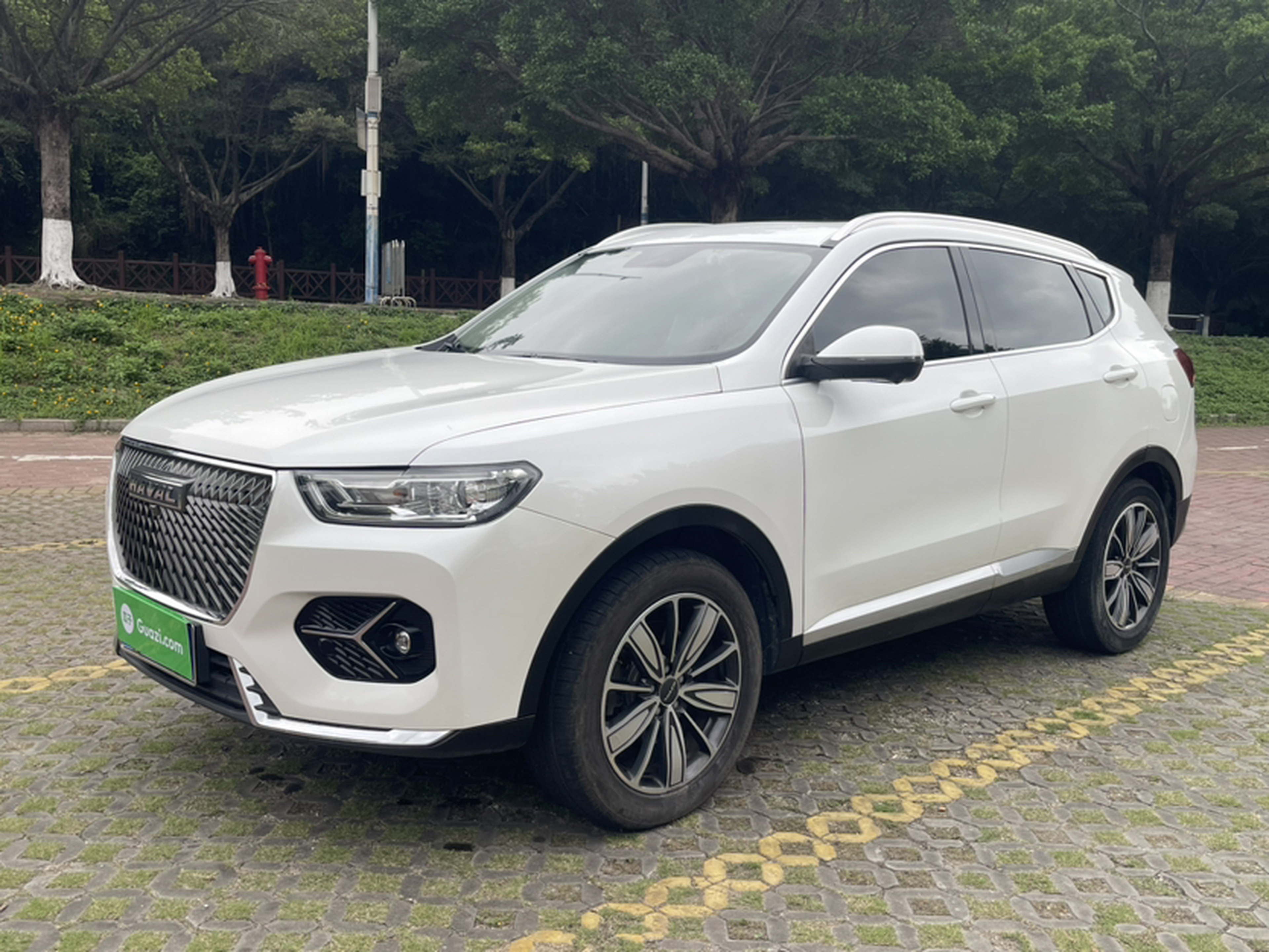 Parte inferior delantera