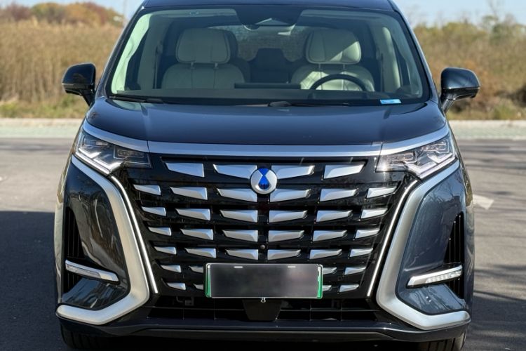 Used Denza D9 2024 DM-i 980 Four-Wheel Drive Flagship Model