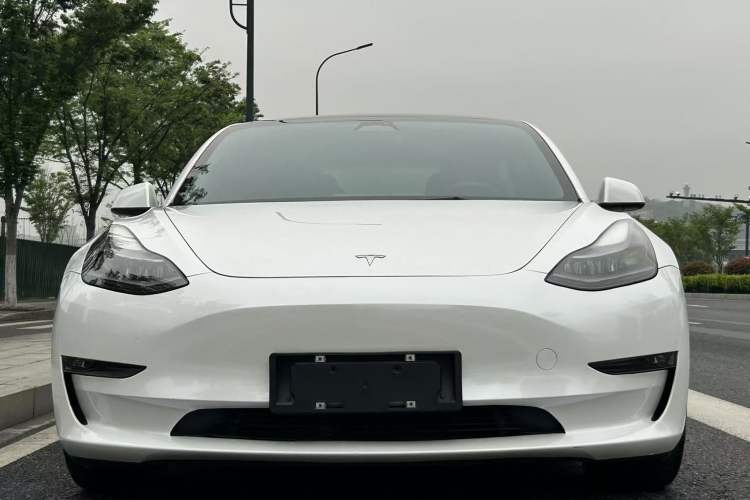 Used Tesla Model 3 2022 Performance High-Performance All-Wheel-Drive Version Exterior 1