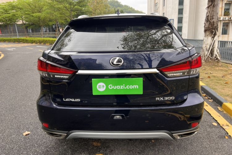 Used Lexus RX 2020 Revised Version 300 Two-Wheel Drive Elite Edition
