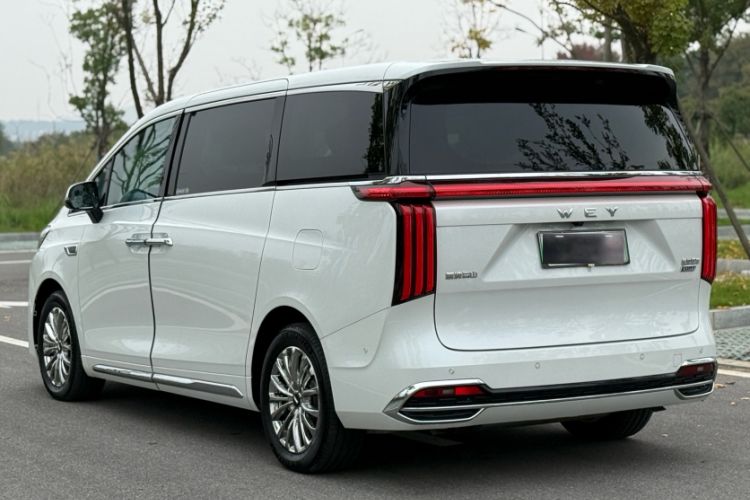 Used Wey Gaoshan 2023 Four-Wheel Drive Flagship Edition
