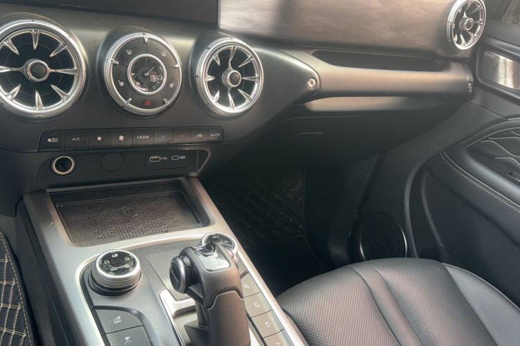 Used Tank 300 2024 2.0T Conqueror
