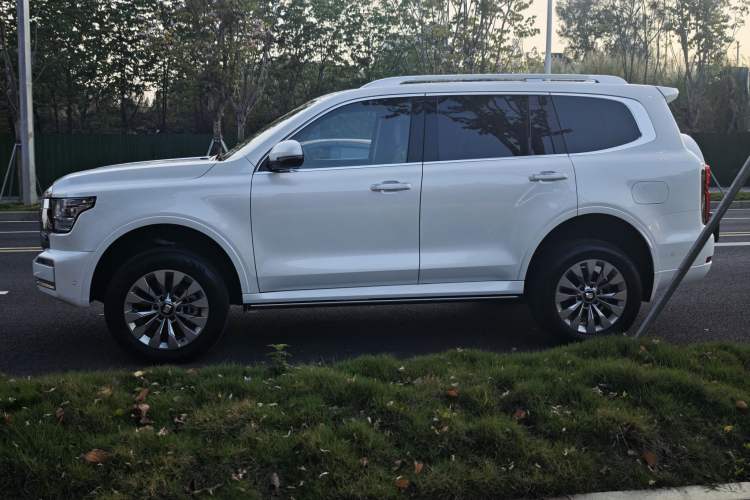 Used Tank 500 New Energy 2024 Hi4-T Exterior 3