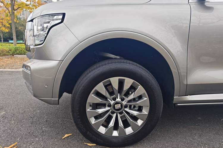 Used Tank 500 New Energy 2024 Hi4-T
