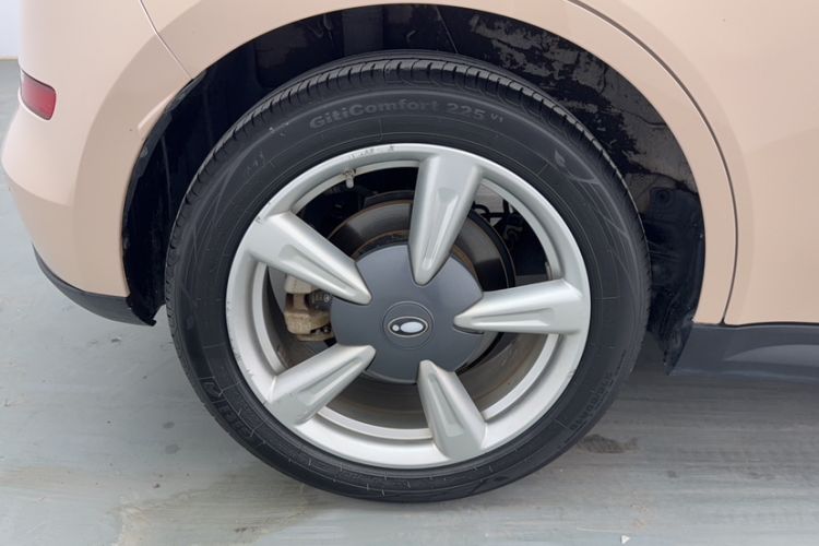 Used ORA Good Cat 2022 Morandi Edition 400km Standard Range Luxury Version Lithium Iron Phosphate