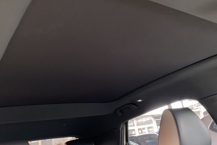 Used BYD Dolphin 2023 420 km Fashion Edition Headliner