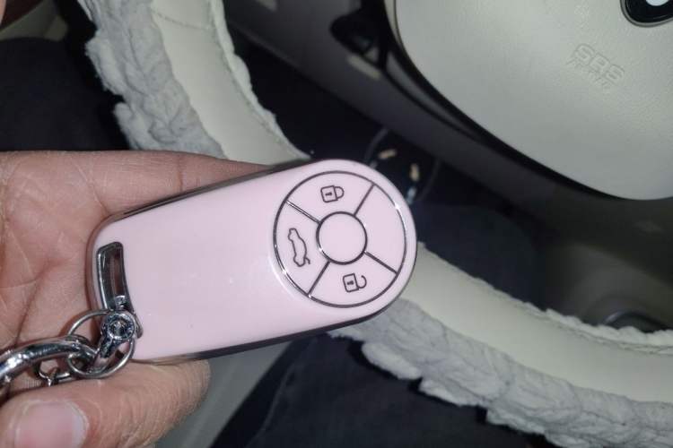 Used ORA Good Cat 2025 Model, 430 km Luxury Version
