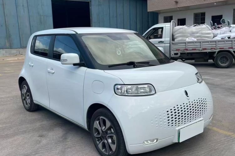 Used ORA White Cat 2020 305 km Luxury Version
