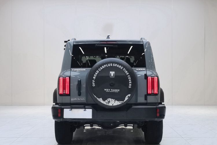 Used Tank 300 2024 2.0T Conqueror