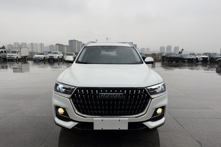 Used Haval H6 2023 National Trend Edition 1.5T Automatic Urban Version
