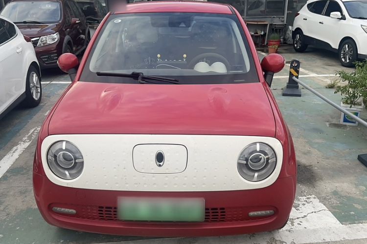 Used ORA Black Cat 2019 351 km Lingzhi Edition