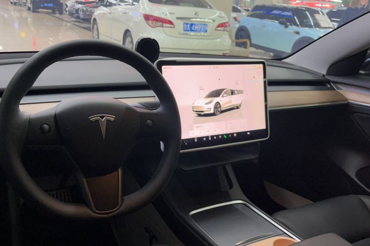 Used Tesla Model 3 2022 Rear-Wheel-Drive Version