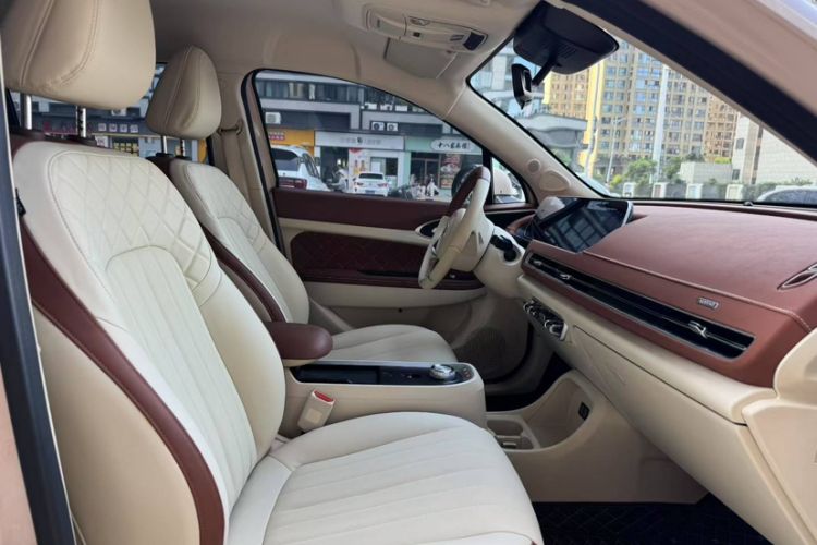 Used ORA Good Cat 2022 Morandi Edition 400km Standard Range Two-Week Young Enjoyment Version Lithium Iron Phosphate